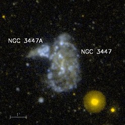 NGC3447J
